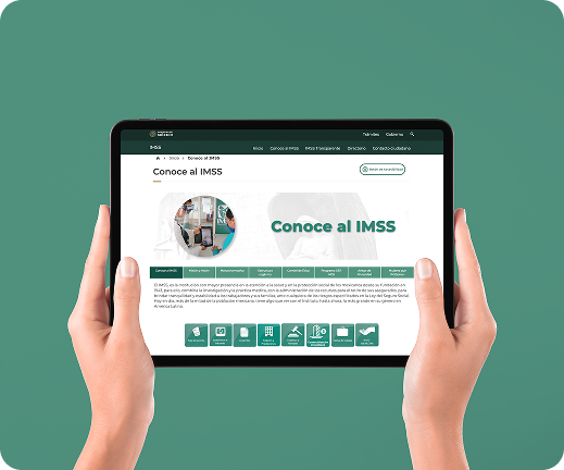 proyecto imss